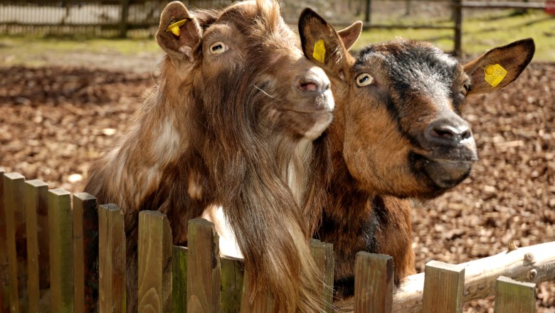 Geras Nature Park, © Naturpark Geras Geras Nature Park, © Naturpark Geras