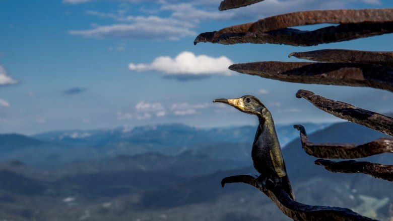 Iron sculpture on the way to the Ötscher summit, © Ludwig Fahrnberger Iron sculpture on the way to the Ötscher summit, © Ludwig Fahrnberger