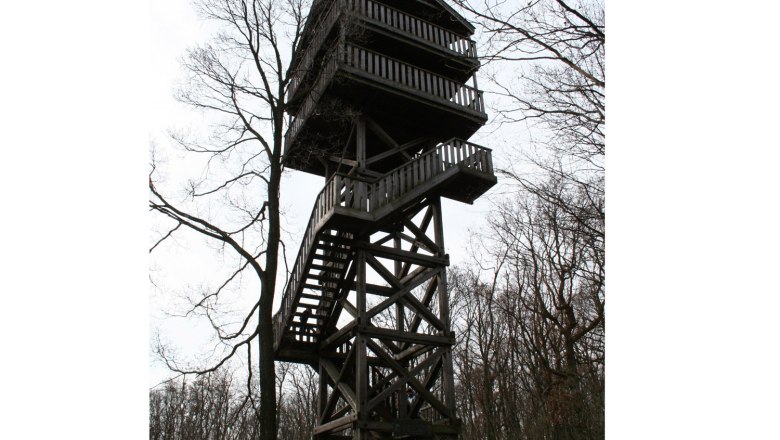 Observation tower, © Christian Perschl A wooden observation tower in the forest with several platforms and stairs.