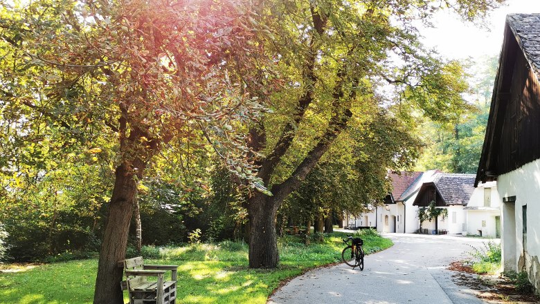 Peigarten Peregriniplatzl, © Weinstraße Weinviertel A sunny path with trees and a bicycle leaning against a tree. White buildings can be seen in the background.