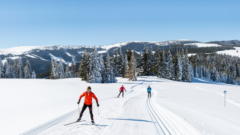 Fantastic views on the Wechsel panoramic trail, © ARGE Langlauf, Zwickl Cross-country skiers on a snow-covered trail with snow-covered trees and mountains in the background.
