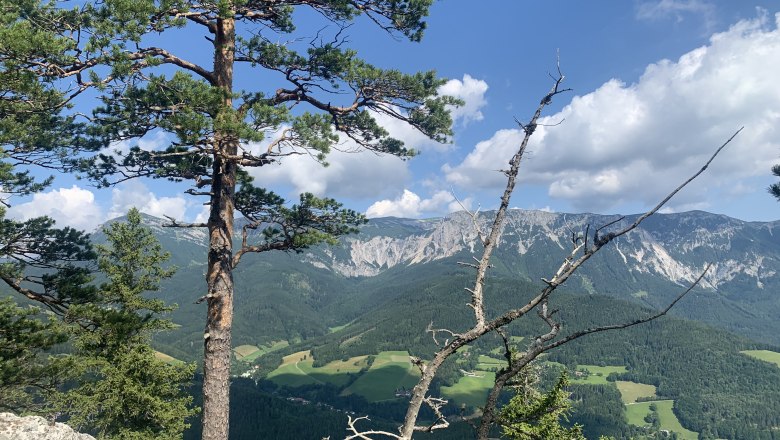 Viewpoint Luckerte Wand, © TVB Semmering-Rax-Schneeberg View of the Rax from the Luckerten Wand.