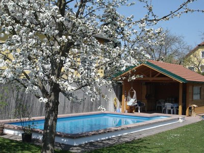 Pool and garden, © Jeschko A blossoming tree next to a pool and a garden shed.