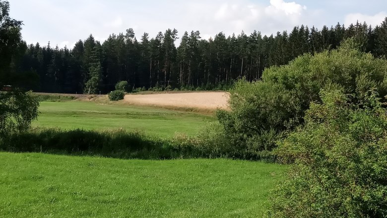 Surroundings, © Ferienhaus Leopold Surroundings, © Ferienhaus Leopold