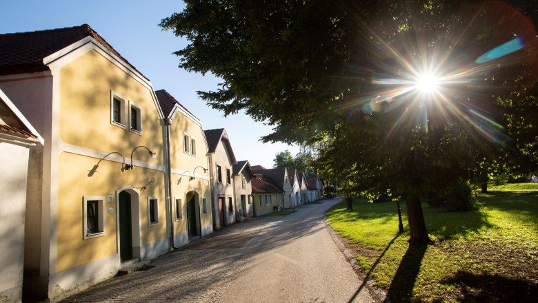 The wine tavern in the beautiful wine cellar lane of Nappersdorf, © Astrid Bartl Wine cellar lane in Nappersdorf with yellow houses and sunshine through trees.