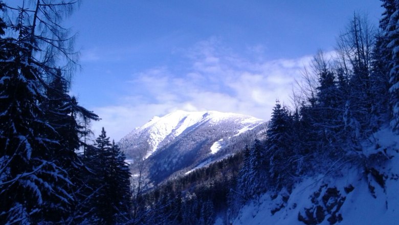 View vacation apartment Bernreiter, © Fam. Bernreiter View vacation apartment Bernreiter, © Fam. Bernreiter