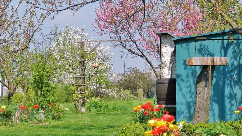 g-2013-06-70__c_fritz-kreiner, © Friedrich Kreiner Spring garden with blossoming trees and tulips.