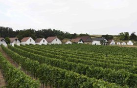 Prellenkirchen wine cellar lane, VIA.CARNUNTUM., © Donau Niederösterreich, Steve Haider Prellenkirchen wine cellar lane, VIA.CARNUNTUM., © Donau Niederösterreich, Steve Haider