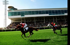 Horse racing, © Magna Racino Two horses with jockeys race on a green track in front of a grandstand with spectators.