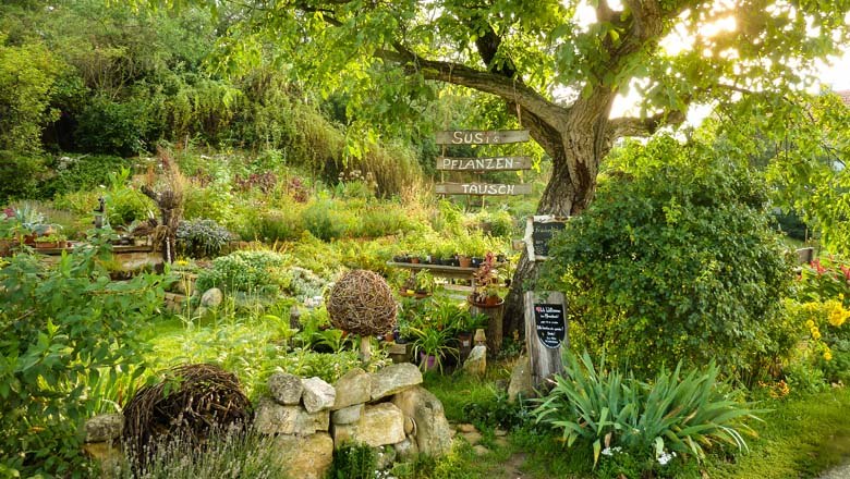 Susi's plant exchange, © Susanne Mitas Susi's plant exchange, © Susanne Mitas