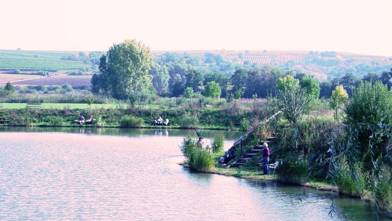 Quiet fishing pond near Unterretzbach, © Gemeinde Retzbach A quiet fishing pond with anglers, surrounded by green countryside and vineyards in the background.