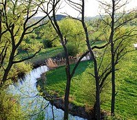Market town of Windigsteig, © Marktgemeinde Windigsteig River in a green landscape with trees in the foreground.