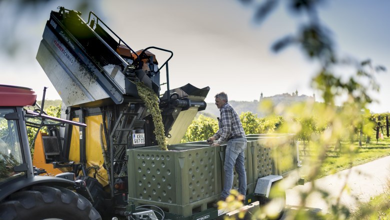 Winery family Dockner, © Robert Herbst_POV Winery family Dockner, © Robert Herbst_POV