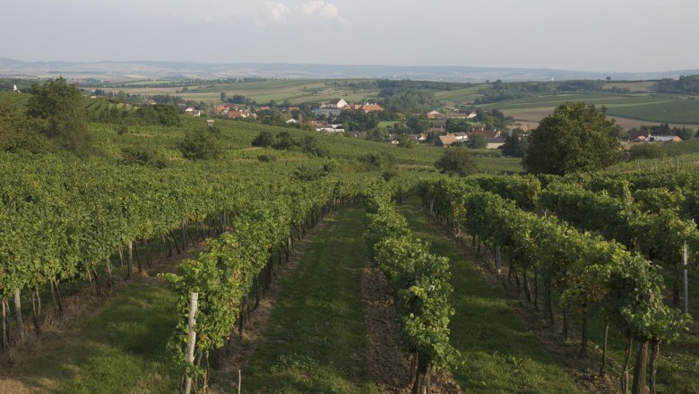 Mailberg, © Herbert Weil Vineyards in Mailberg with a view of the village and the surrounding countryside.