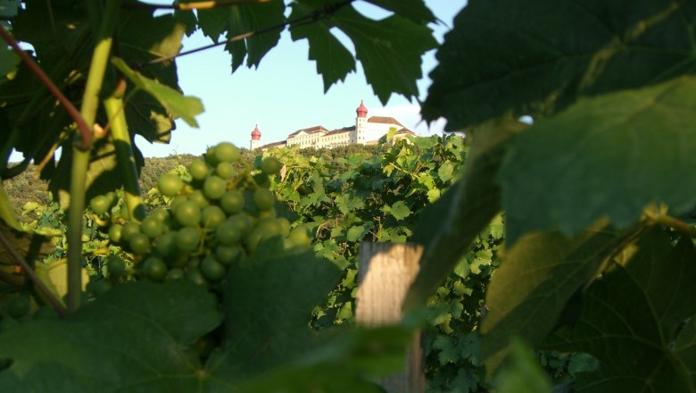 rauscher-2, © Familie Rauscher Grapes in the foreground, castle in the background.