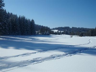 Snowshoeing in Langschlag, © Renate Hahn Snowy landscape with snowshoe tracks and forest in the background.
