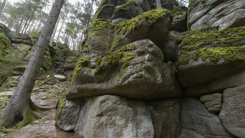 Rock formations near Groß Schönau, © Matthias Schickhofer Moss-covered rock formations in the forest near Groß Schönau.