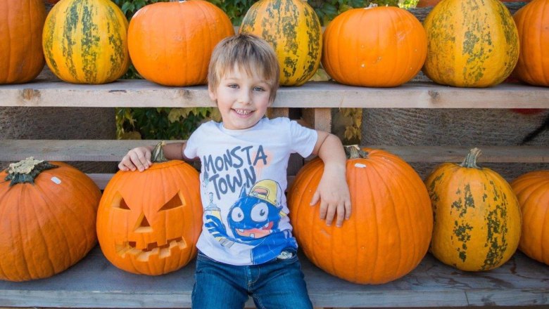 Pumpkin carving, © Wurzers Genuss- und Erlebnishof Pumpkin carving, © Wurzers Genuss- und Erlebnishof