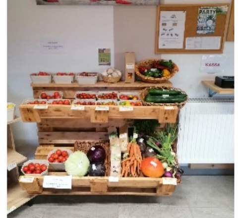collage_crossfield-2023-vegetable-shelf, © Marktgemeinde Martinsberg collage_crossfield-2023-vegetable-shelf, © Marktgemeinde Martinsberg