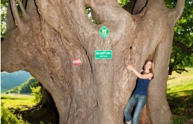 Bärntal-Lacke natural monument, © www.extremfotos.com Bärntal-Lacke natural monument, © www.extremfotos.com