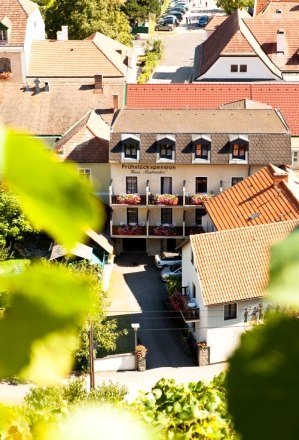 House Oestreicher, © Gurtner View of a building with the inscription 'Haus Oestreicher', surrounded by other houses and green leaves in the foreground.