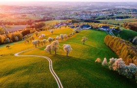 SW_Birnbaumbluete_DJI_20250420003409_0305_D_Allhartsberg_.jpg, © Sabine Wieser SW_Birnbaumbluete_DJI_20250420003409_0305_D_Allhartsberg_.jpg, © Sabine Wieser