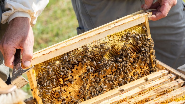 Organic beekeeping Fuchsteiner, © Theo Kust Organic beekeeping Fuchsteiner, © Theo Kust
