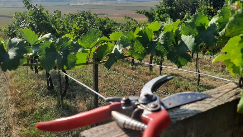 Organic farm Bauer, © Bauer Biohof Organic farm Bauer, © Bauer Biohof