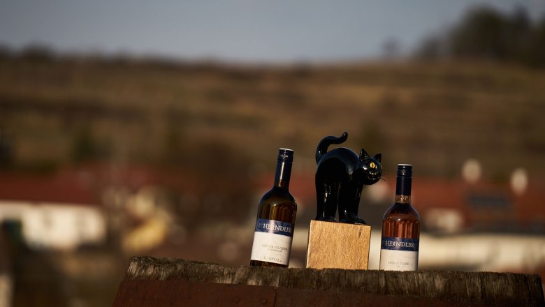 Winery Thomas Herndler, © Christian Stachowitz Winery Thomas Herndler, © Christian Stachowitz