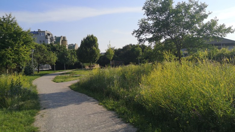 IGL Park in summer, © "Natur im Garten" A winding path through a green park with trees and tall grasses, with buildings in the background.