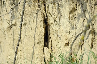 preview_wag_loess_wand_cjosefstefan_20c76f5b9d_1, © josefstefan preview_wag_loess_wand_cjosefstefan_20c76f5b9d_1, © josefstefan