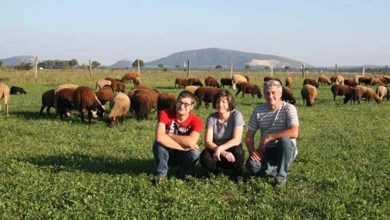 Organic farm Otmar Weber, © Biohof Weber Organic farm Otmar Weber, © Biohof Weber
