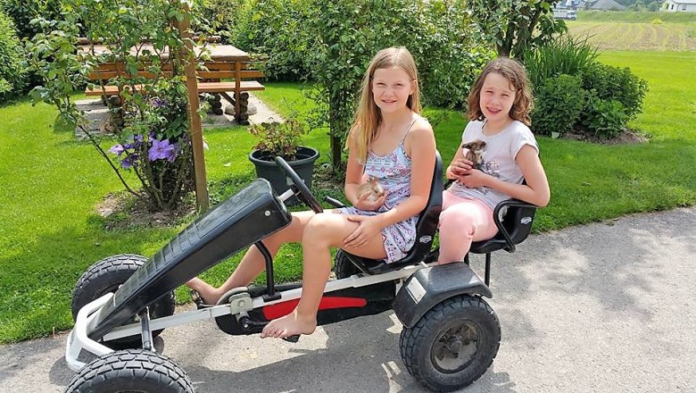 Go-kart, © Lothspieler Go-kart, © Lothspieler