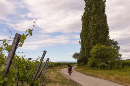 Triestingau cycle route, © Stefan Mayerhofer