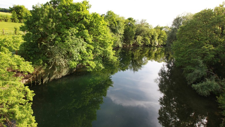The Erlauf near Wieselburg, © weinfranz.at River Erlauf near Wieselburg with green trees on the banks.