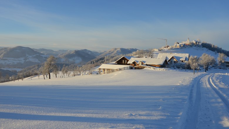 Ebenbauer organic farm in winter, © Gottfried & Rosina Wagner Ebenbauer organic farm in winter, © Gottfried & Rosina Wagner