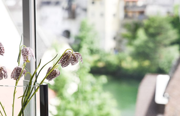 Apartment Zum Ybbsturm, © Apartment Zum Ybbsturm Apartment Zum Ybbsturm, © Apartment Zum Ybbsturm