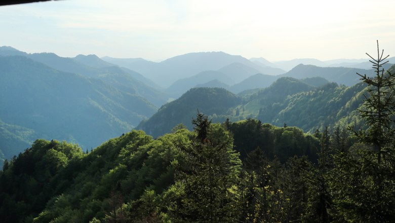 View from the Hochbärneck viewing platform, © weinfranz.at View from the Hochbärneck viewing platform of wooded hills and mountains in the distance.