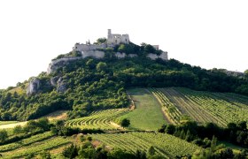 Falkenstein castle ruins, © Weinort Falkenstein Falkenstein castle ruins on a wooded hill with vineyards in the foreground.