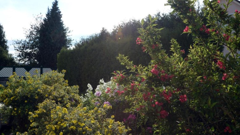 Garden, © Regina Petric Garden, © Regina Petric