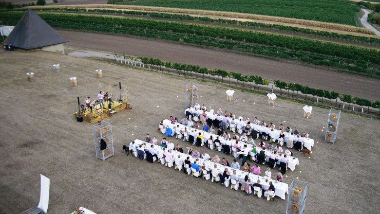 Tables in the Weinviertel, © Gemeinde Auersthal Aerial view of an outdoor party with long tables and musicians, surrounded by vineyards.