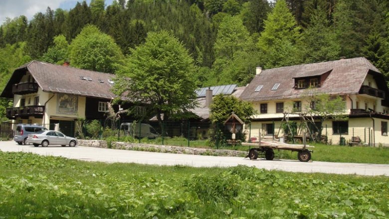 In the middle of the forest, © Familie Kellner Two traditional houses on the edge of the forest with a meadow in the foreground.