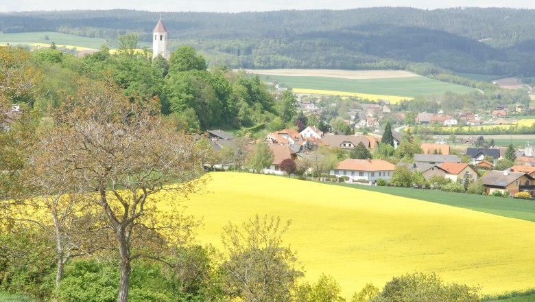 Obritzberg, © zVg Gemeinde Obritzberg-Rust Landscape with yellow rape field, village and church tower in the background.