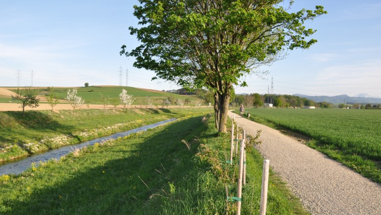 Wild fruit trail, © zVg Gemeinde Ruprechtshofen A path along a stream with trees and fields, under a blue sky.