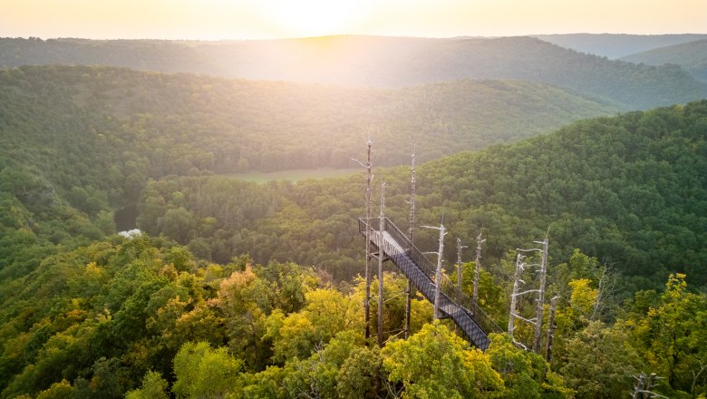 Observatory in the Thayatal National Park, © Andreas Häusler Viewing platform in the forest with sunset in the background.