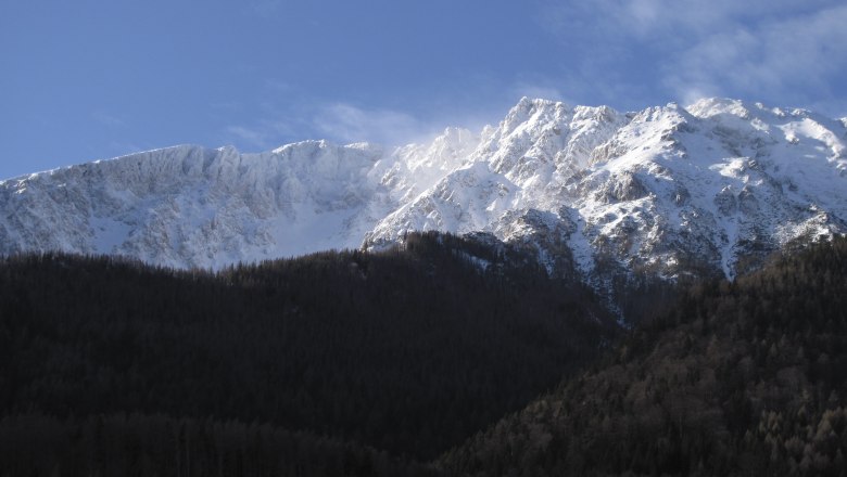 View of the Schneeberg, © Haus Lenz Snow-covered mountain with wooded foreground and blue sky.