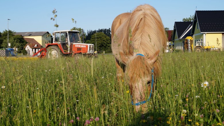 KaFaHof, © Martina Falkner KaFaHof, © Martina Falkner