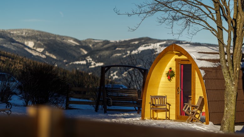 Forest nests, © Wiener Alpen /Christian Kremsl A small, wood-clad cottage in the snow with a mountain landscape in the background.