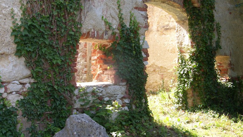 The Mannersdorf desert, © Donau Niederösterreich Ruins overgrown with ivy in the Mannersdorf desert.