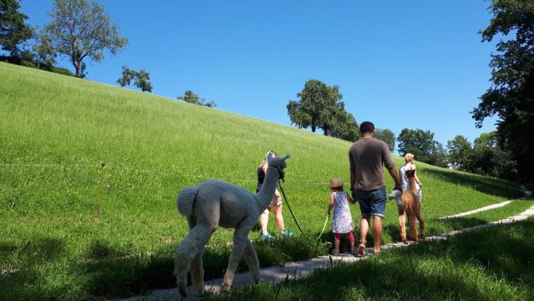 Stroll along fruit trees, © Stefanie Ecker Stroll along fruit trees, © Stefanie Ecker